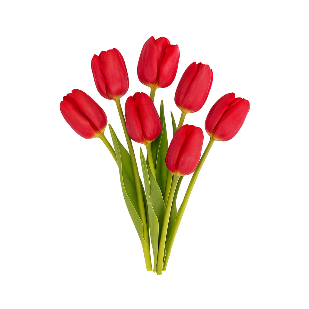 АКТУАЛЬНЫЙ Слайдер на первом экране главной страницы (фото 2)